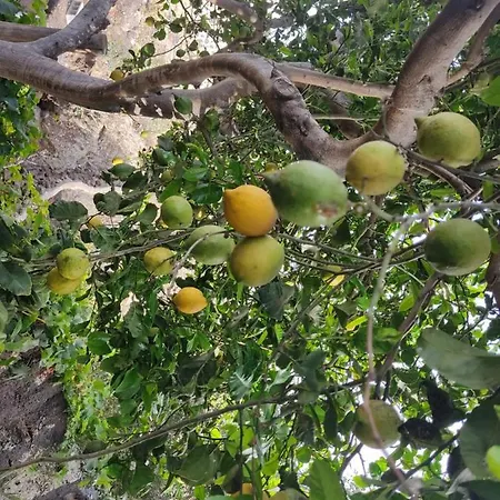 Casa Ico Lanzarote Дом отдыха