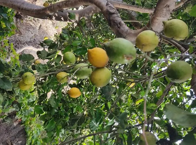 Casa Ico Lanzarote 펜션