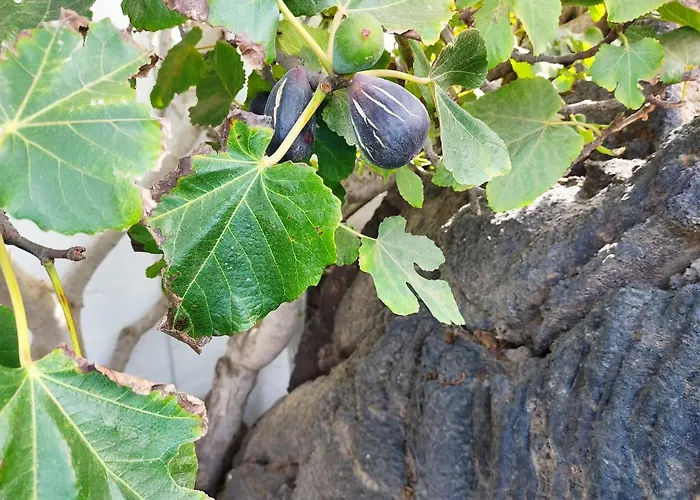 Casa Ico Lanzarote 펜션 티아즈