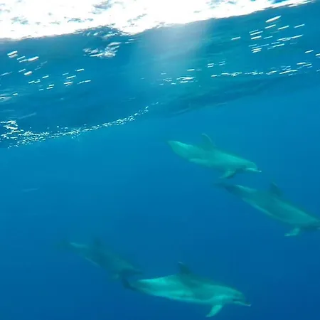 Casa Ico Lanzarote بيت للعطل تياس