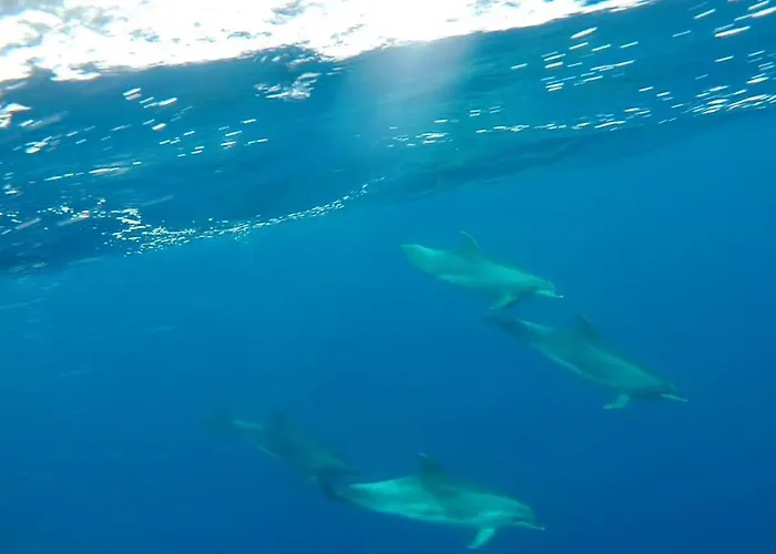 Casa Ico Lanzarote 別荘 ティアス